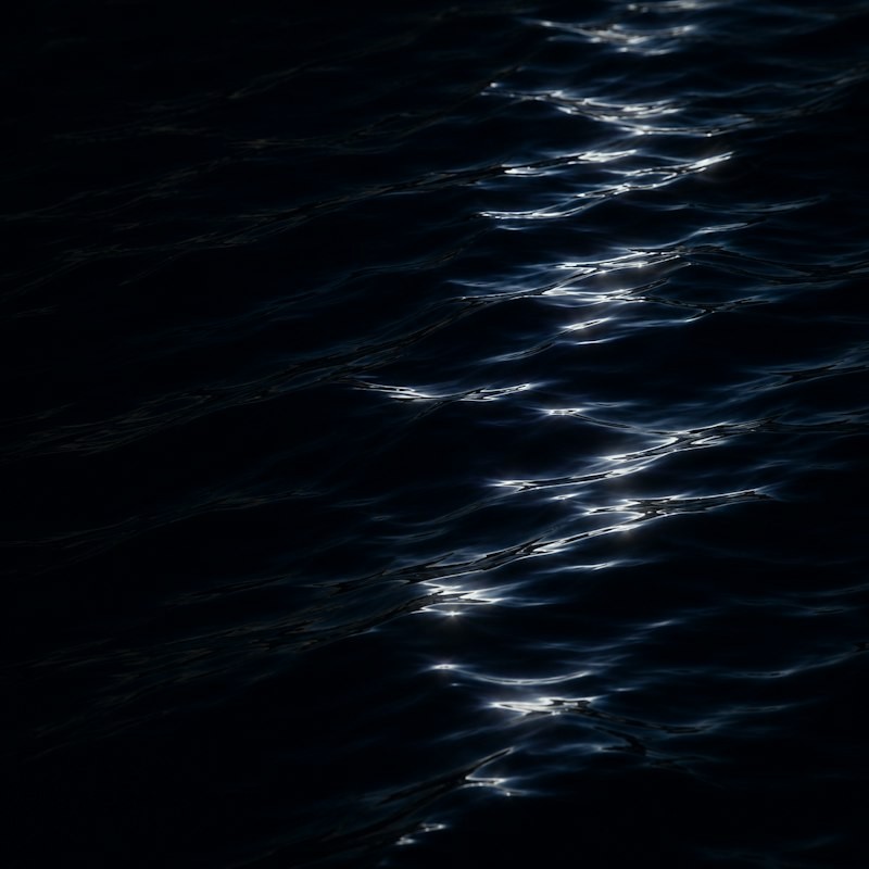 Cover art for Fast Water